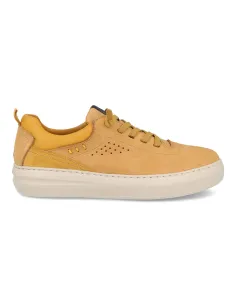 Zapatos piel diprieto 4143 Amarillo
