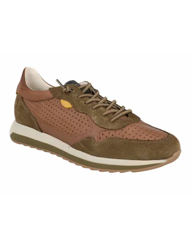 Zapatos Diprieto 3510 Caqui